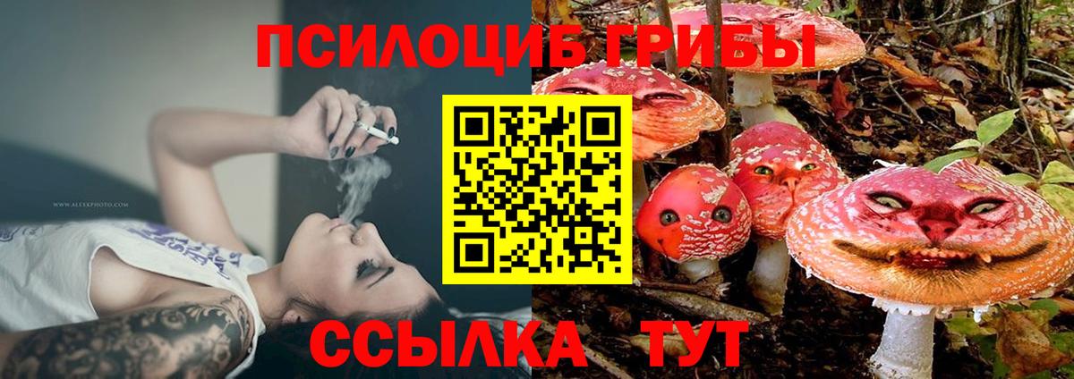 Псилоцибиновые грибы прущие грибы Кострома