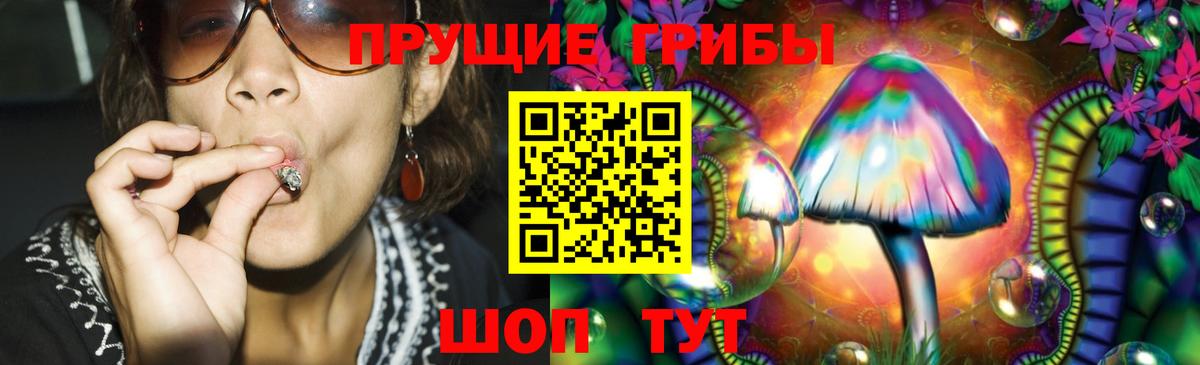 Галлюциногенные грибы Magic Shrooms  Галлюциногенные грибы мухоморы  Вход с VPN  Кострома 